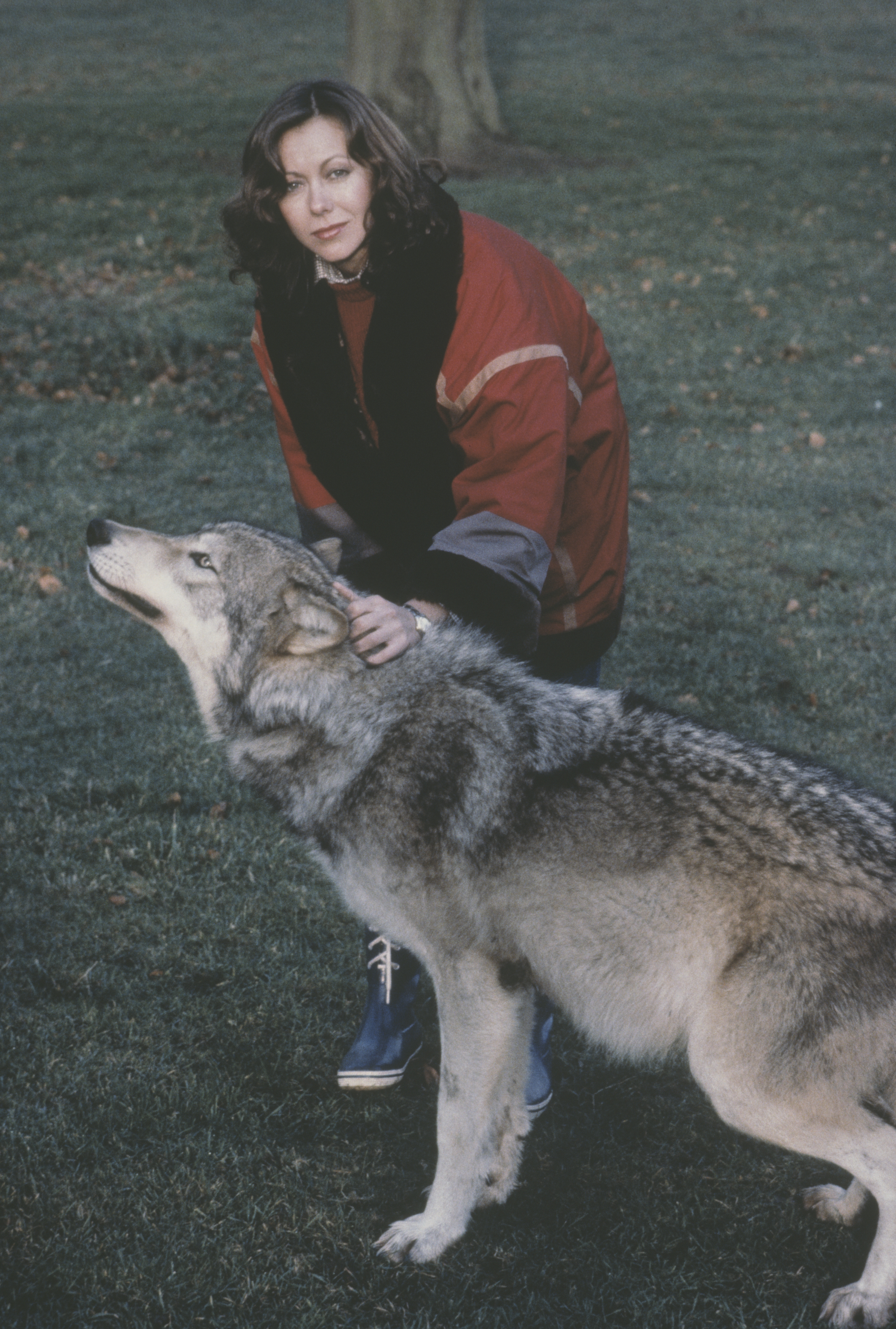 Jenny Agutter in An American Werewolf in London (1981)