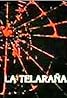 La telaraña (TV Series 1990–1991) Poster