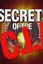 Secrets of the CIA (2006)