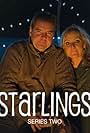 Starlings (2012)