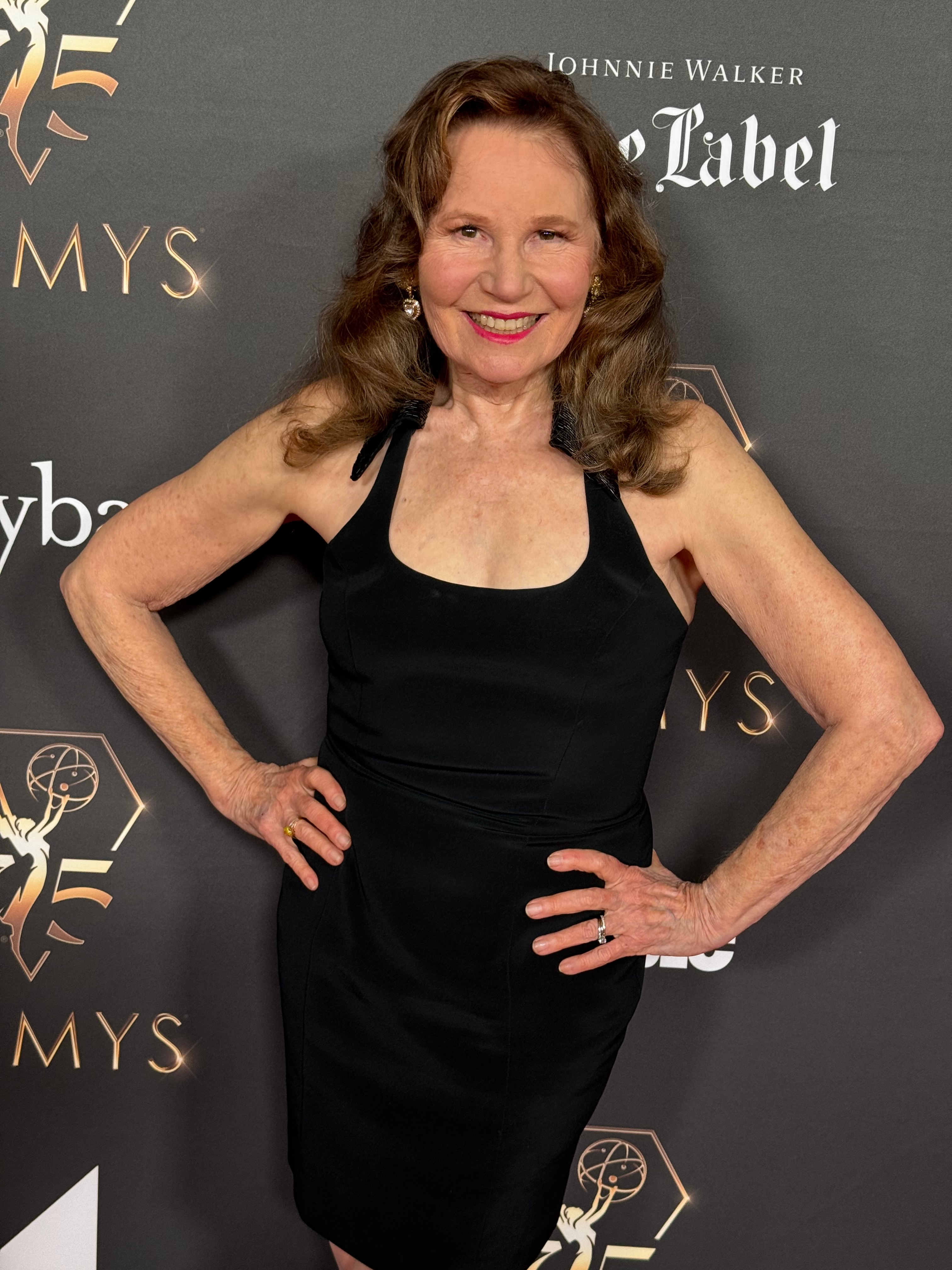 On the Red Carpet, Emmy Event January 2024