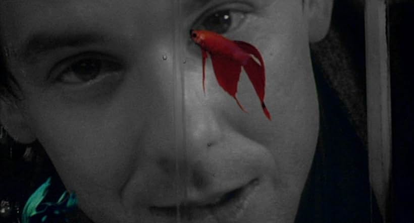 Mickey Rourke in Rumble Fish (1983)