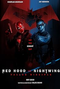 Primary photo for Red Hood vs Nightwing: Fallen Disciple