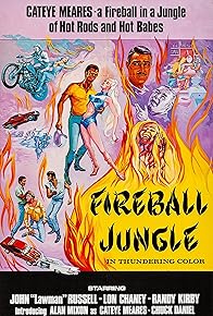 Primary photo for Fireball Jungle