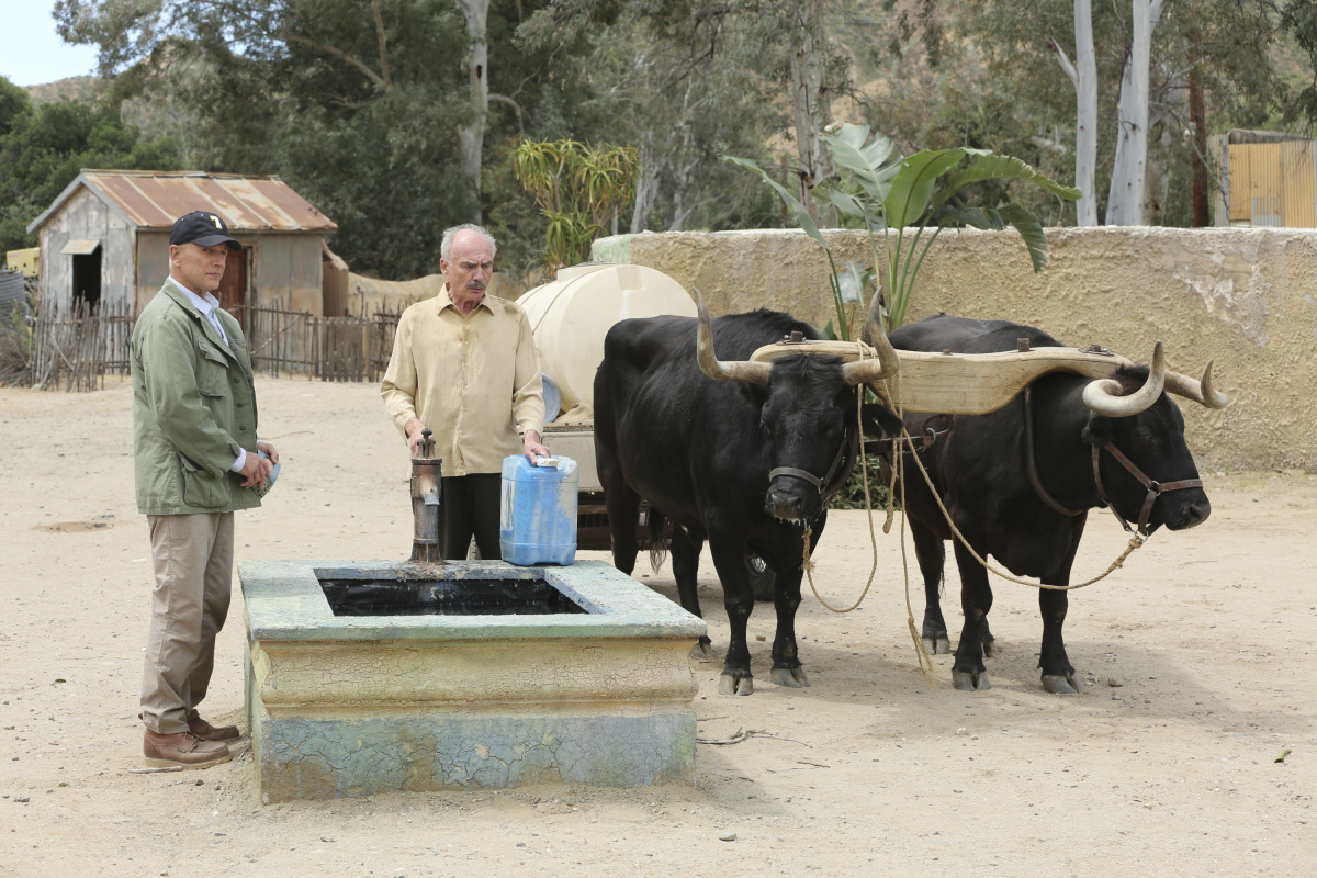 Mark Harmon and Harold Cannon in NCIS (2003)