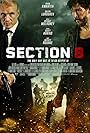 Section 8