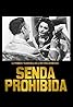 Senda prohibida (TV Series 1958) Poster