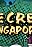 Secret Singapore