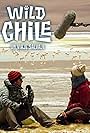 Wild Chile (2017)