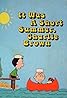 It Was a Short Summer, Charlie Brown (TV Short 1969) Poster