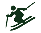 MSOWG Dream Ski Cross.png