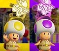 Toads employed at the Lost Kingdom, Moon Kingdom, and Mushroom Kingdom's Crazy Cap