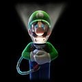 Luigi