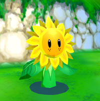 Sunflower Kid