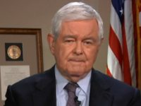 Gingrich: Government Shutdown Would Help Trump, Let Biden Preside ‘Over a Mess’