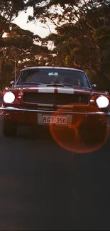 Classic car driving through a sunlit forest road.