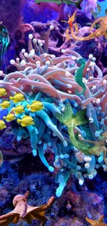 Vibrant underwater wallpaper with colorful coral and marine life.