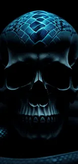 Dark skull wallpaper with blue-black tones.