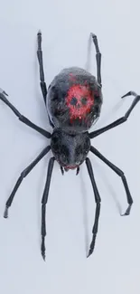 Minimalist wallpaper featuring a dark spider with red markings on a light gray background.