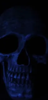 Eerie dark blue skull in shadows, mysterious wallpaper.