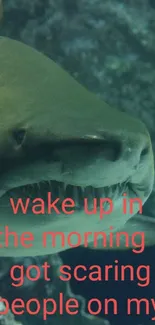 Shark swimming underwater in a rocky ocean landscape with text overlay.