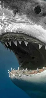 Close-up of a great white shark's mouth, showcasing sharp teeth and a deep blue ocean background.