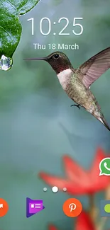 Hummingbird with dew drop against green background on mobile wallpaper.