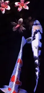 Koi fish swimming under lotus flowers on a dark background.