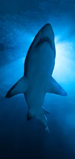 Silhouette of a shark swimming in deep blue ocean waters.