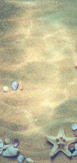 Serene beach wallpaper with seashells on sand.