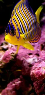 Bright fish swimming through colorful coral reef scene.