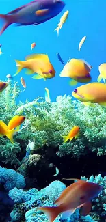 Colorful fish swim in a vibrant coral reef underwater scene.