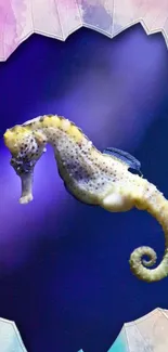 Vibrant seahorse on purple background with colorful edges.