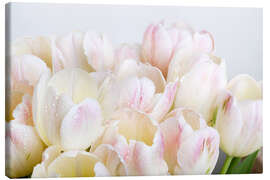 Canvas print Pastel-colored tulips 06 - Nailia Schwarz