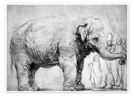 Wandbild Elefant - Rembrandt van Rijn