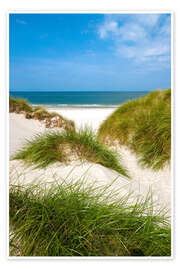 Wandbild Nordsee - zauberhafte Dünen - Reiner Würz