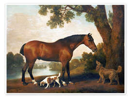 Wandbild Pferd und zwei Hunde - George Stubbs