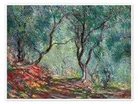 Veggbilde Olive Tree Wood in the Moreno Garden - Claude Monet