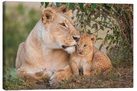 Canvas print Mother love at the lion - Ingo Gerlach