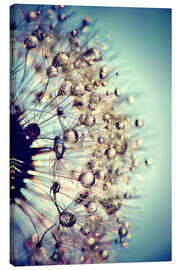 Canvas print Dandelion blue crystal - Julia Delgado