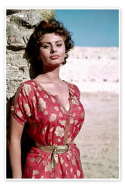 Poster Sophia Loren in Sunlight