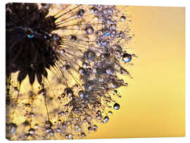 Canvas print Dandelion yellow - Julia Delgado