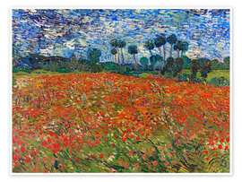 Veggbilde Poppy Field, Auvers-sur-Oise - Vincent van Gogh