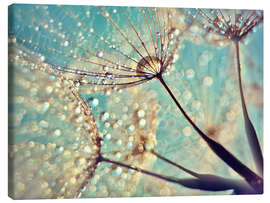 Canvas print Magical dandelion - Julia Delgado