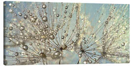 Canvas print Dandelion Magic Raindrop - Julia Delgado