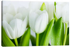 Canvas print White Tulips 04 - Nailia Schwarz