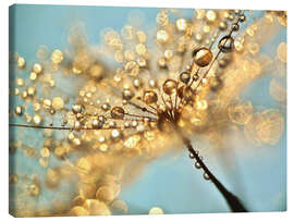 Canvas print Dandelion umbrellas with gold drops - Julia Delgado