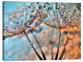 Canvas print Dandelion reflections - Julia Delgado