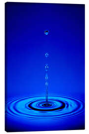 Canvas print Water drop impact - Mark Sykes