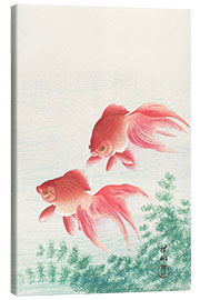 Leinwandbild Zwei Goldfische - Ohara Koson